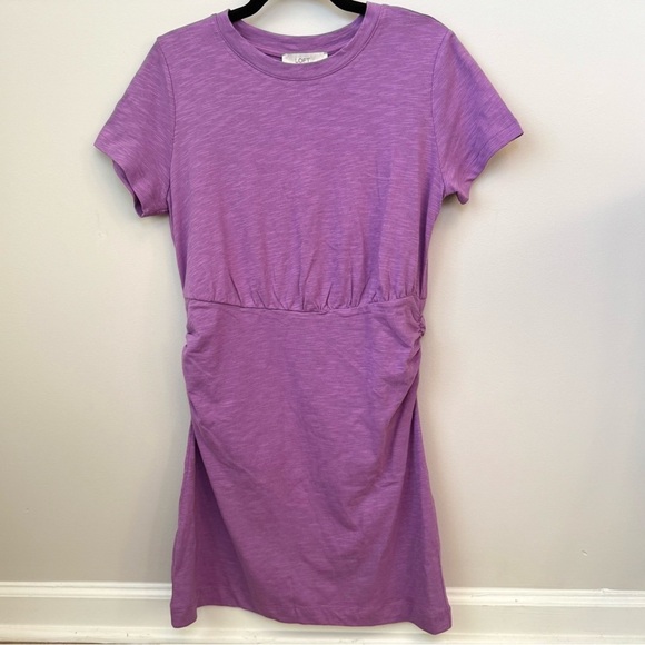 LOFT Ruched Cotton Jersey Mini Tee Dress Elastic Waist Chic Modern Orchid Sz MP - Picture 3 of 9